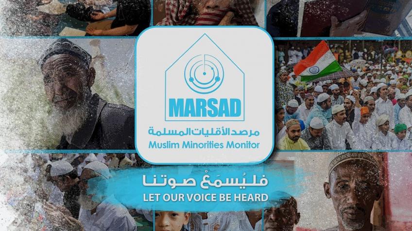Help us amplify the voice of Muslim minorities! - a Community ...