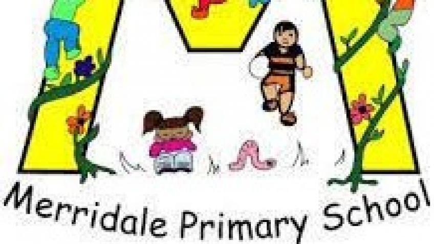 The Merridale Primary School Fundraiser - a Community crowdfunding ...