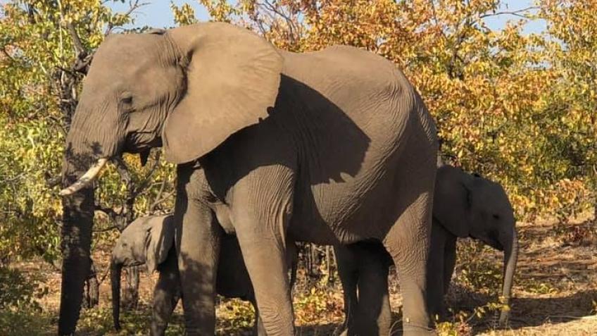 Opwall South Africa Research Expedition - a Personal Causes ...