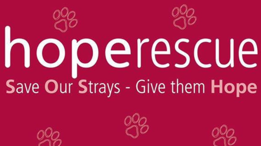 Project New Rescue Centre - Hope Rescue - a Charities crowdfunding ...