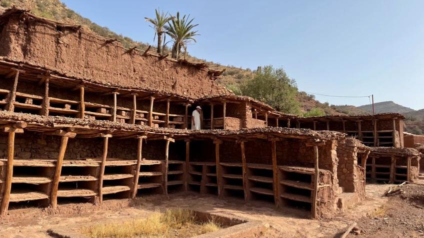 Reuniting the Inzerki Bees and Displaced Families - a Environment ...