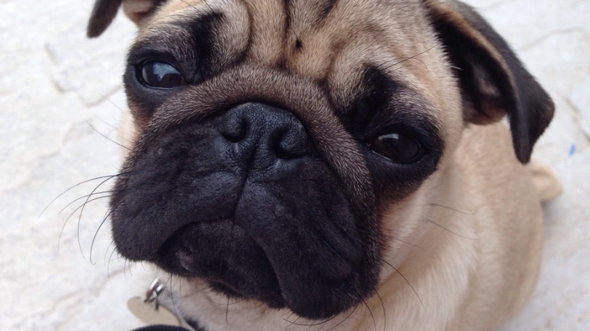 Rupert Fest - a Community crowdfunding project in Colchester by ...