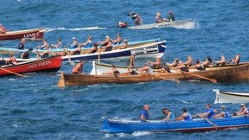 Rowing 100km in 30 days in a gig or on an ergo - a crowdfunding project ...