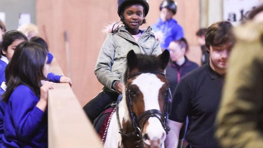 Save Park Palace Ponies Community Riding School - a Community ...