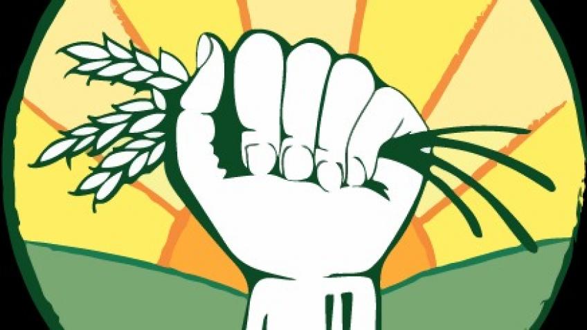 Help Us Save Rice Up - a Food and Drink crowdfunding project in ...