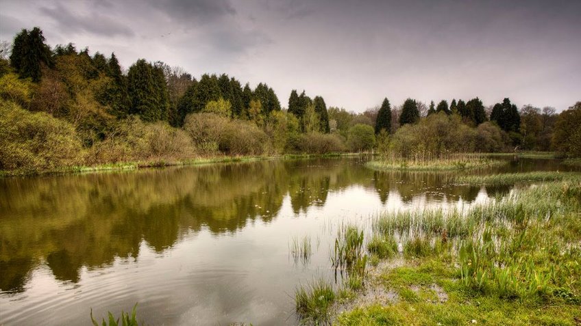 Save Woodhall And Faskine Greenbelt - a Community crowdfunding project ...