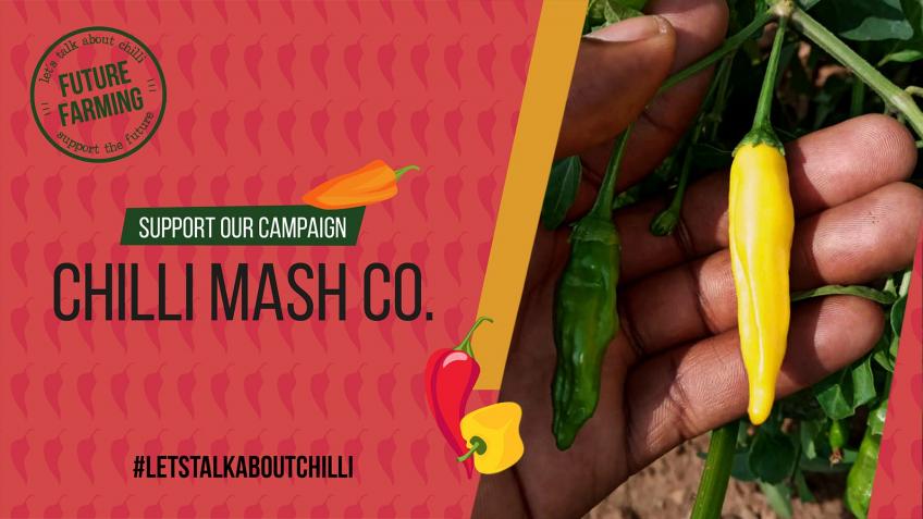 Improving Chilli Supply to UK Manufacturing - a Food and Drink ...