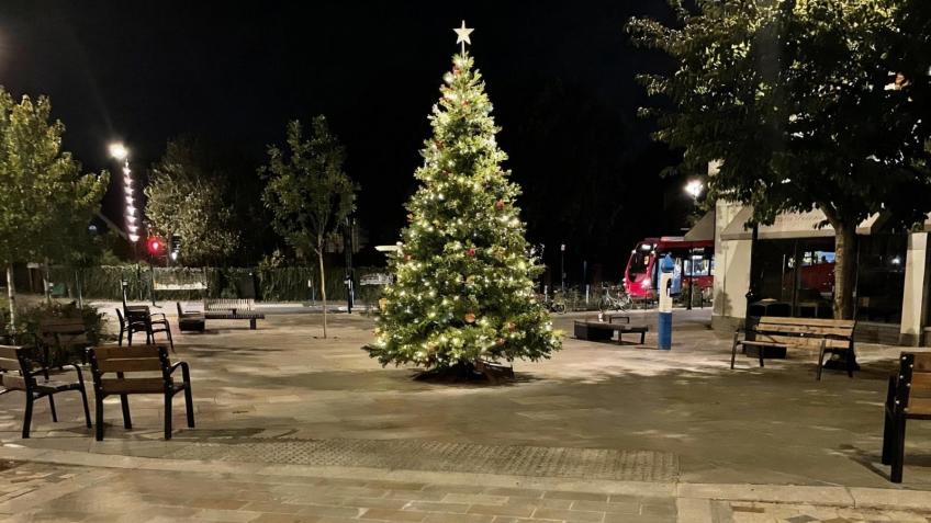 The Christmas Tree for the Square 2025 - a Community crowdfunding ...