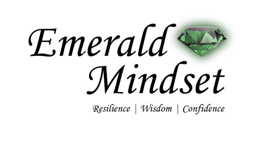 The Mindset Programme - a Music crowdfunding project in London by Sharn ...