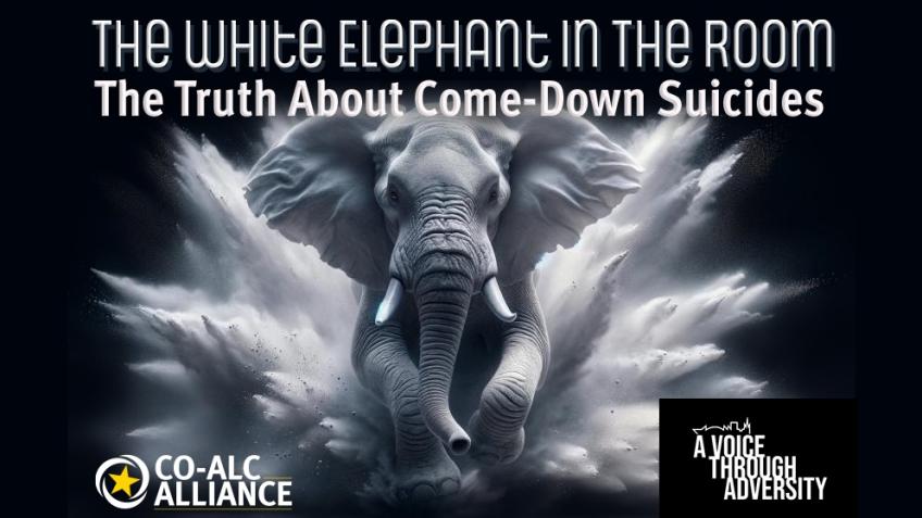 The White Elephant in the Room (DOCUMENTARY) - a Schools crowdfunding ...