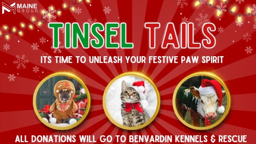 Tinsel Tails - Benvardin Rescue Fundraiser - a Charities crowdfunding ...