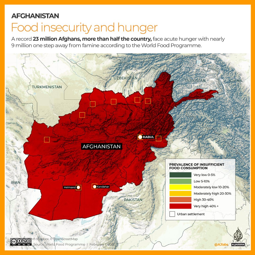 1644240458_af_food_insecurity_and_hunger.jpeg