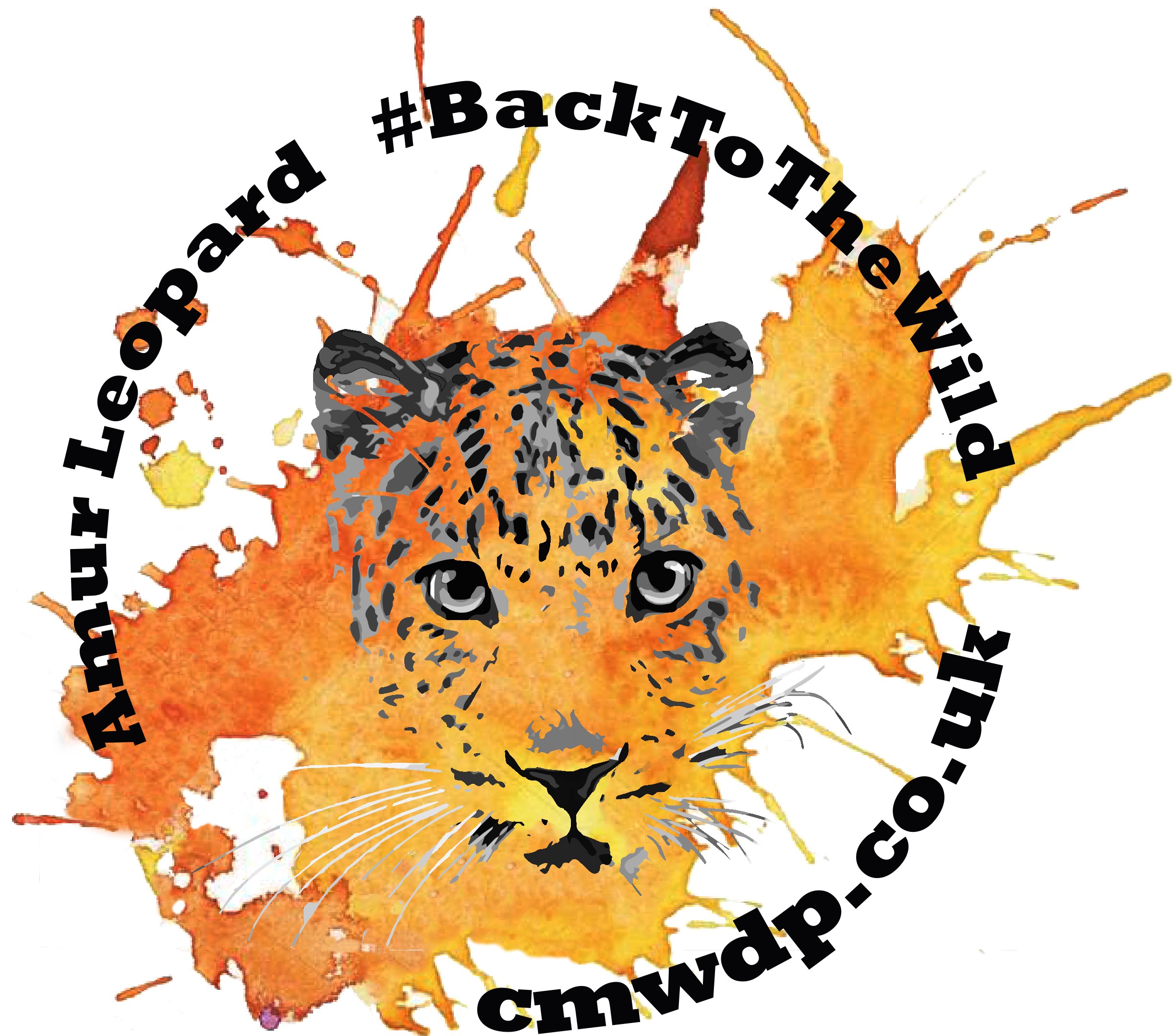 Amur Leopards: Back To The Wild - a crowdfunding project in Combe