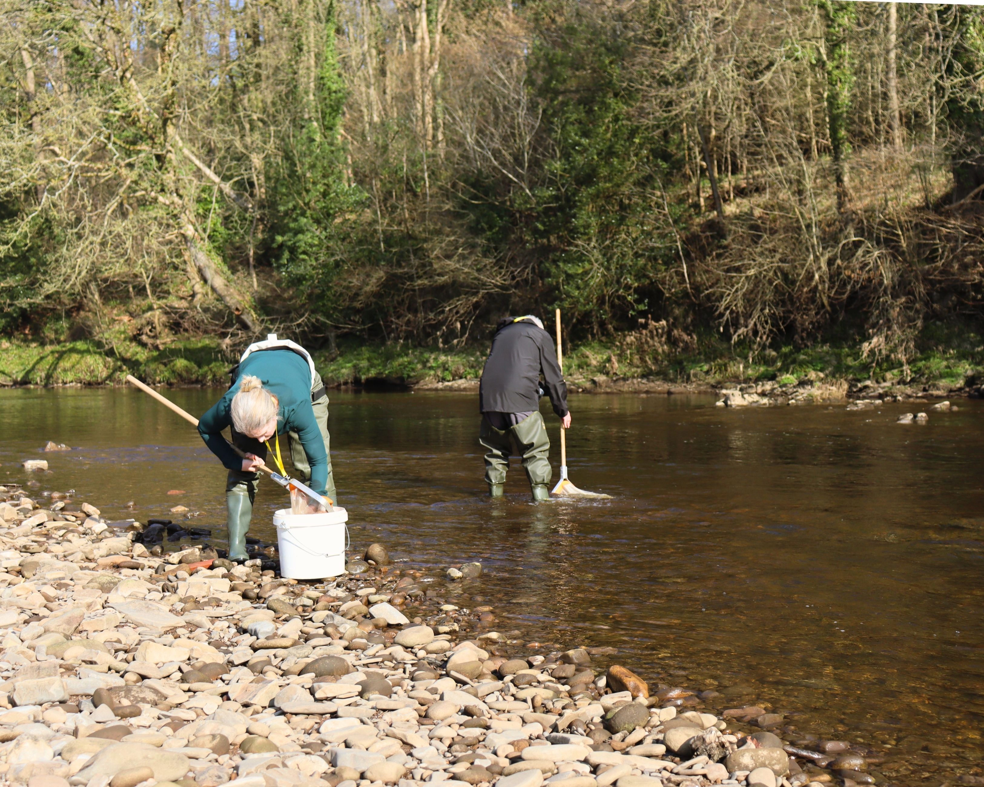 The Hodder and NASF Together for Salmon - a Environment crowdfunding ...