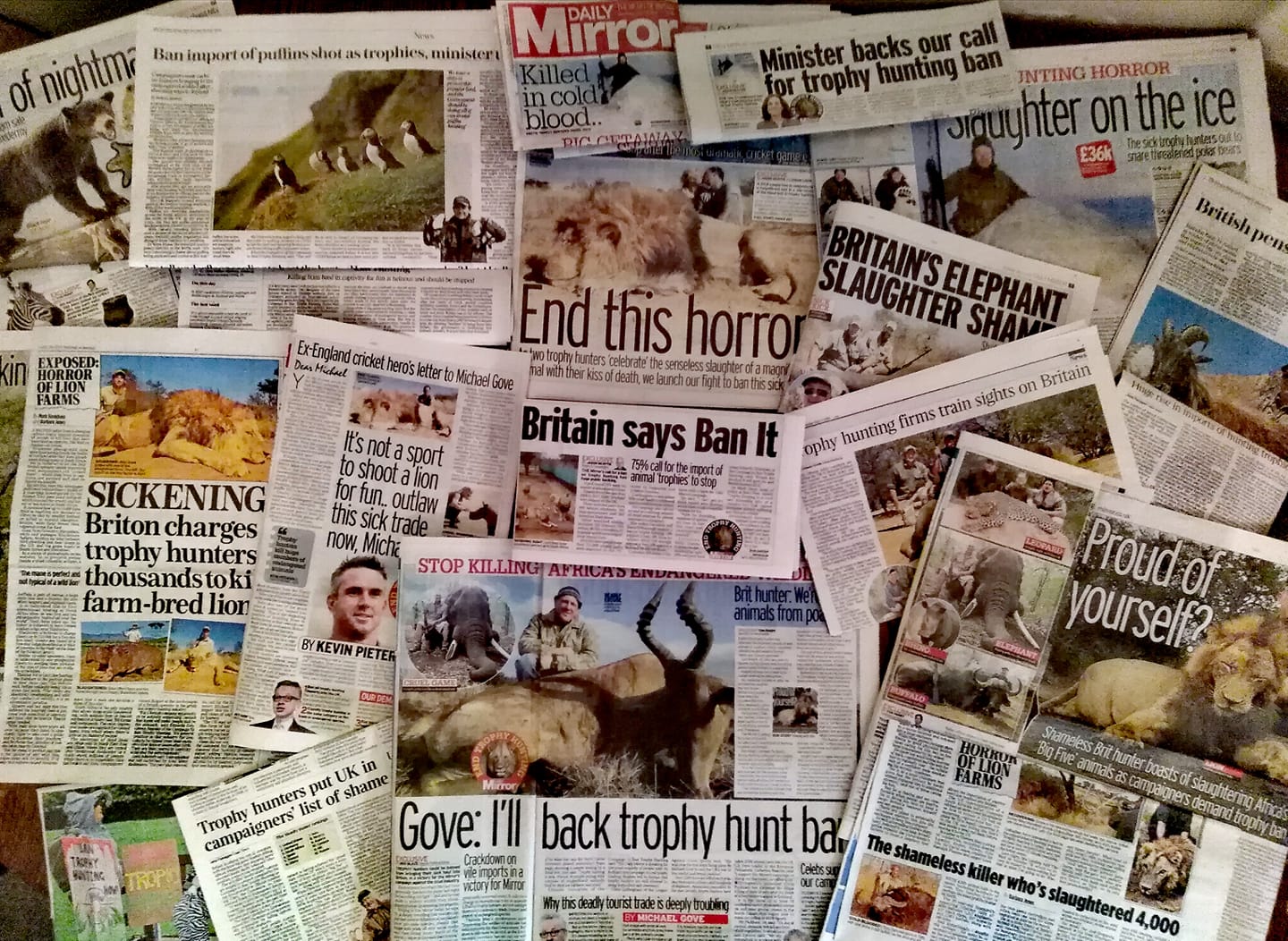 Help BAN Trophy Hunting NOW! - a Personal Causes crowdfunding project in Gosport by Eduardo Goncalves Help BAN Trophy Hunting NOW! - a Personal Causes crowdfunding project in Gosport by Eduardo Goncalves