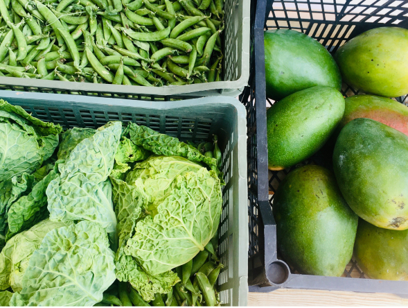 1666357202_veg_the_havens_food_coop_2.png