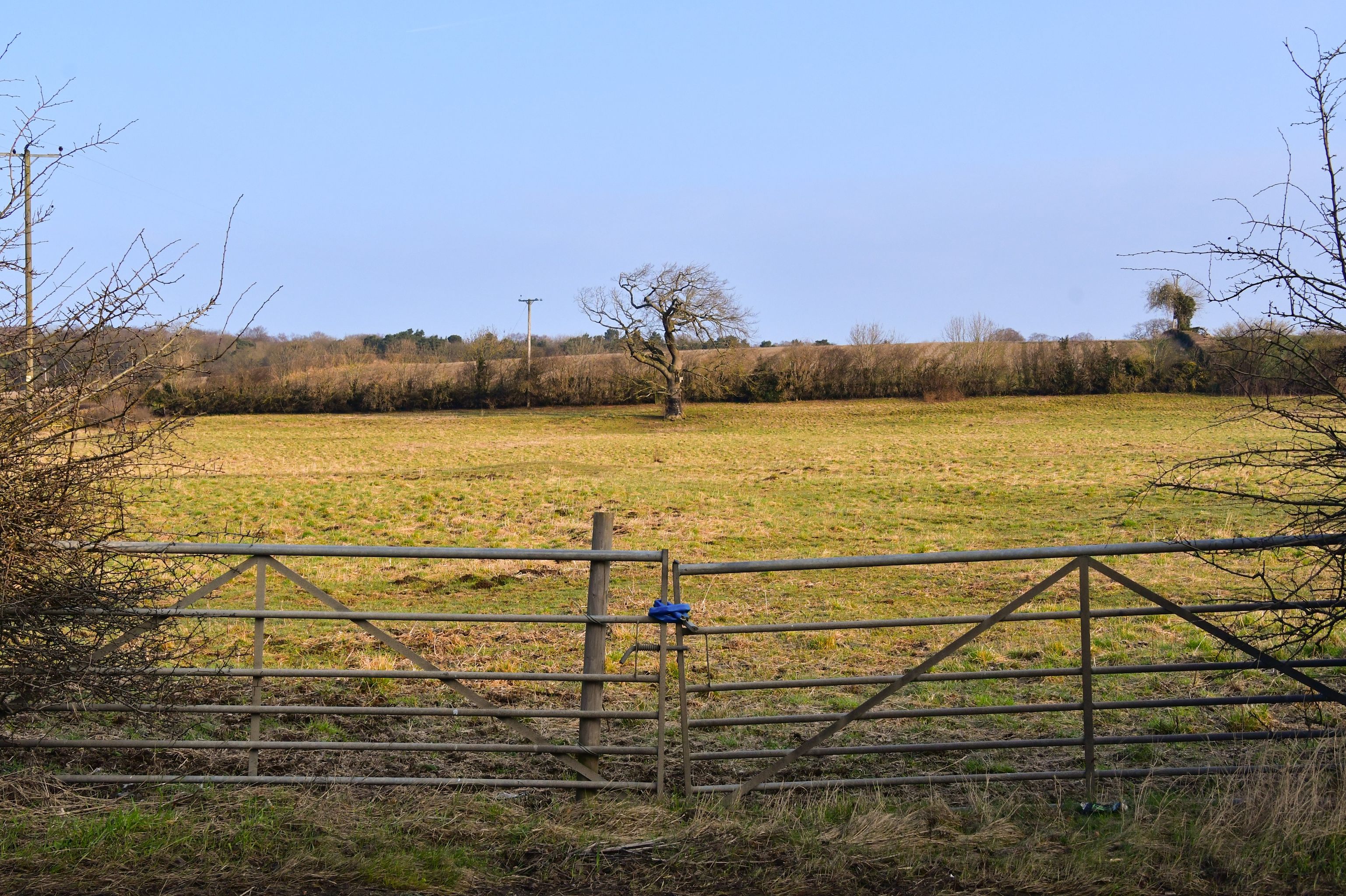 Gainford Deserves Better a Community crowdfunding project in Gainford