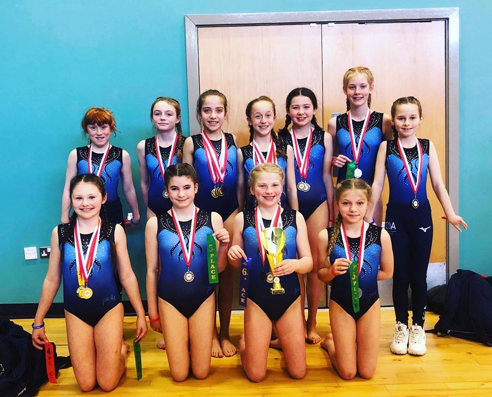 Central Gymnastics Academy Crowd funder a Charities crowdfunding