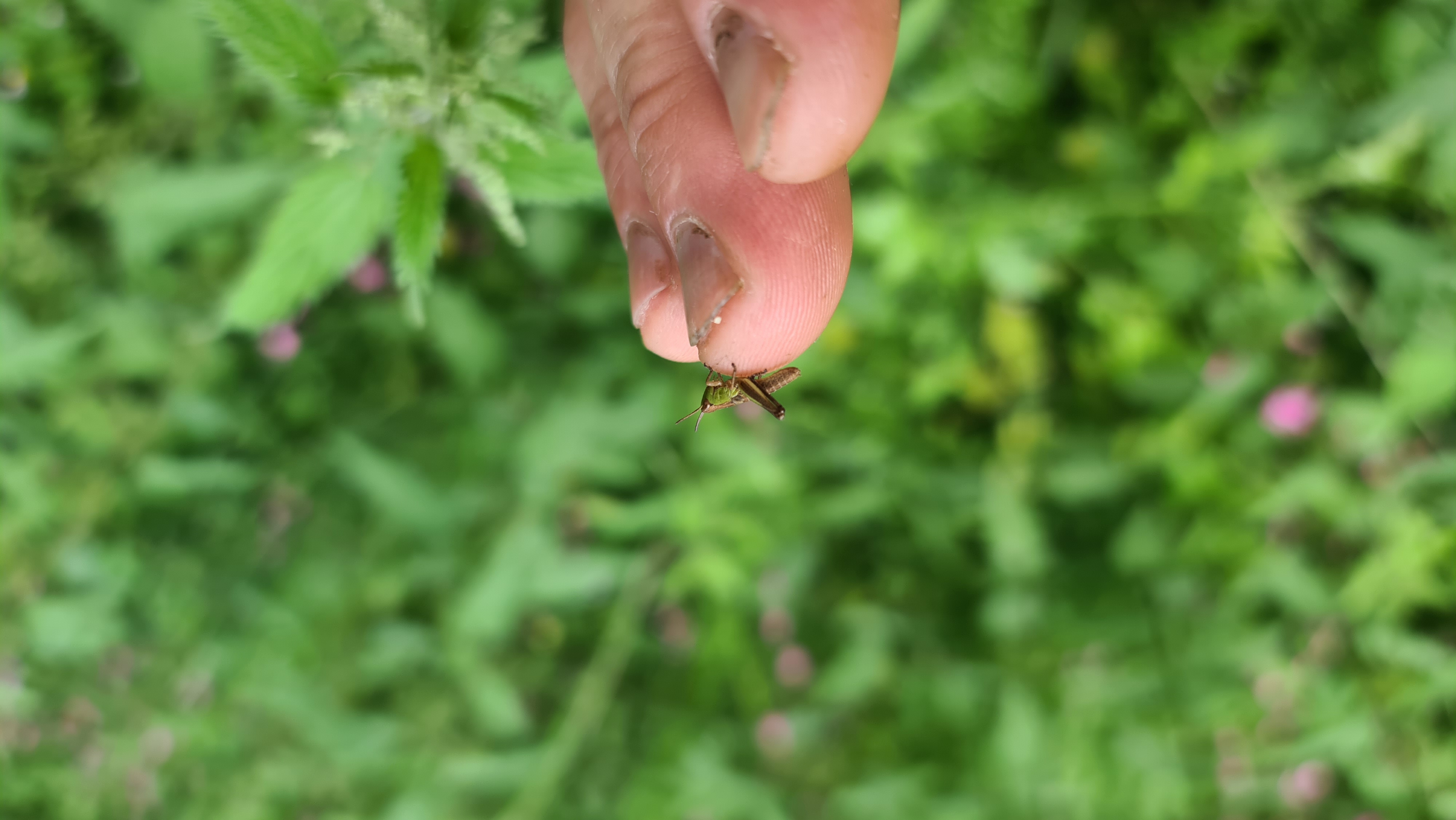 Helping the Copper Pot Campsite. a Community crowdfunding project in