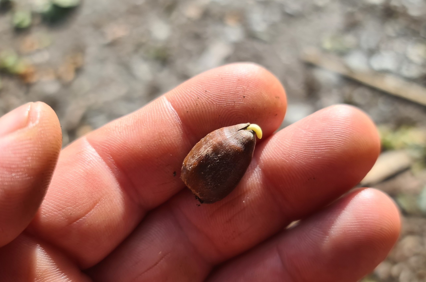 Helping the Copper Pot Campsite. a Community crowdfunding project in