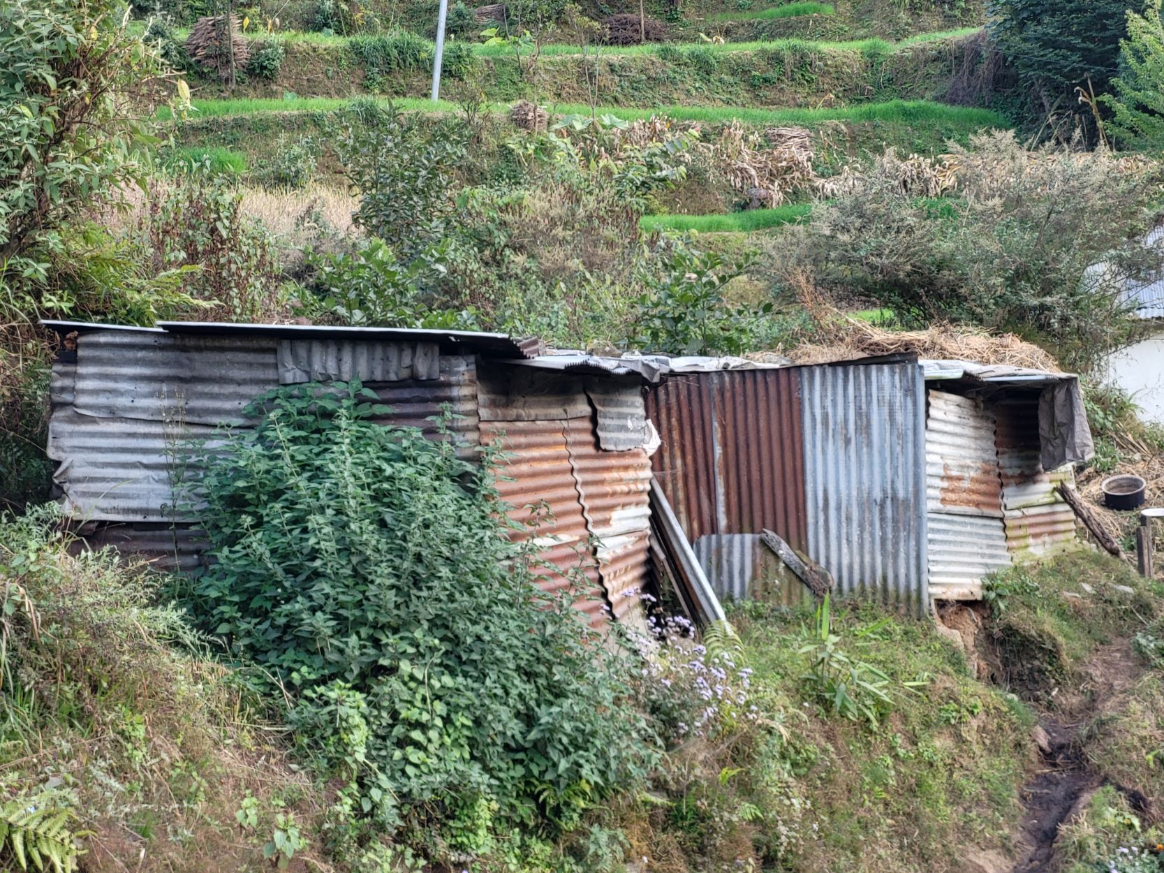 Village redevelopment & community resilience - a Charities crowdfunding ...