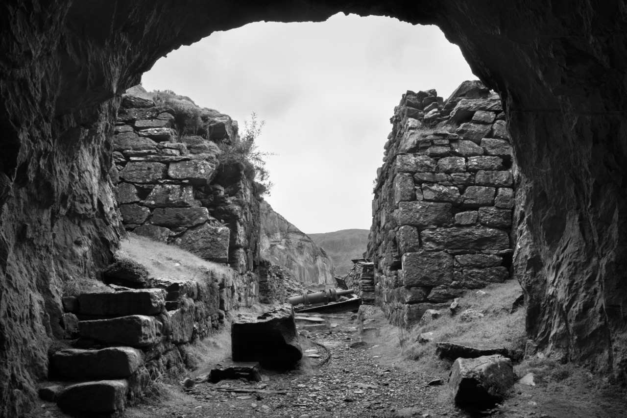1677264577_mm_dsc_0679_tunneltop01_large.jpeg