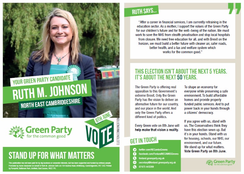 green party flyer