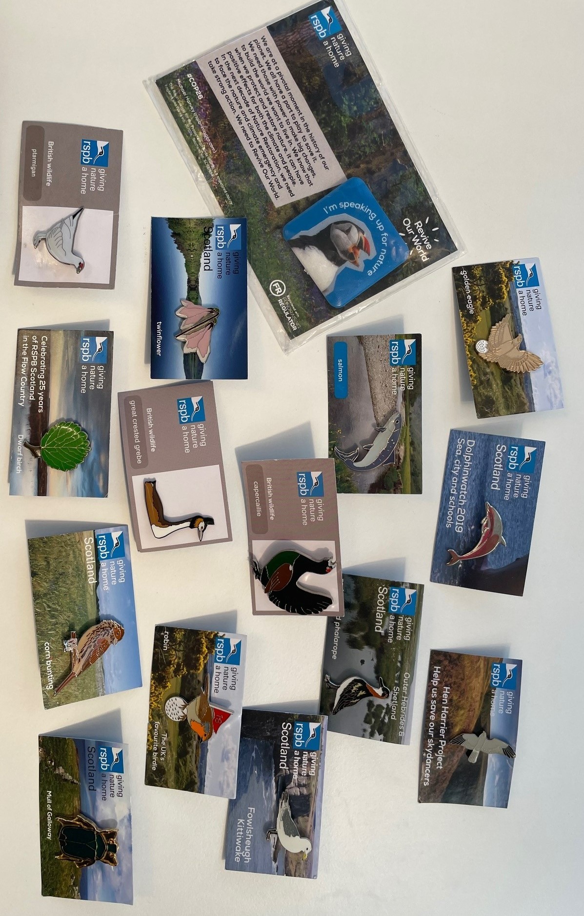 rspb-lochwinnoch-summer-prize-draw-a-environment-crowdfunding-project