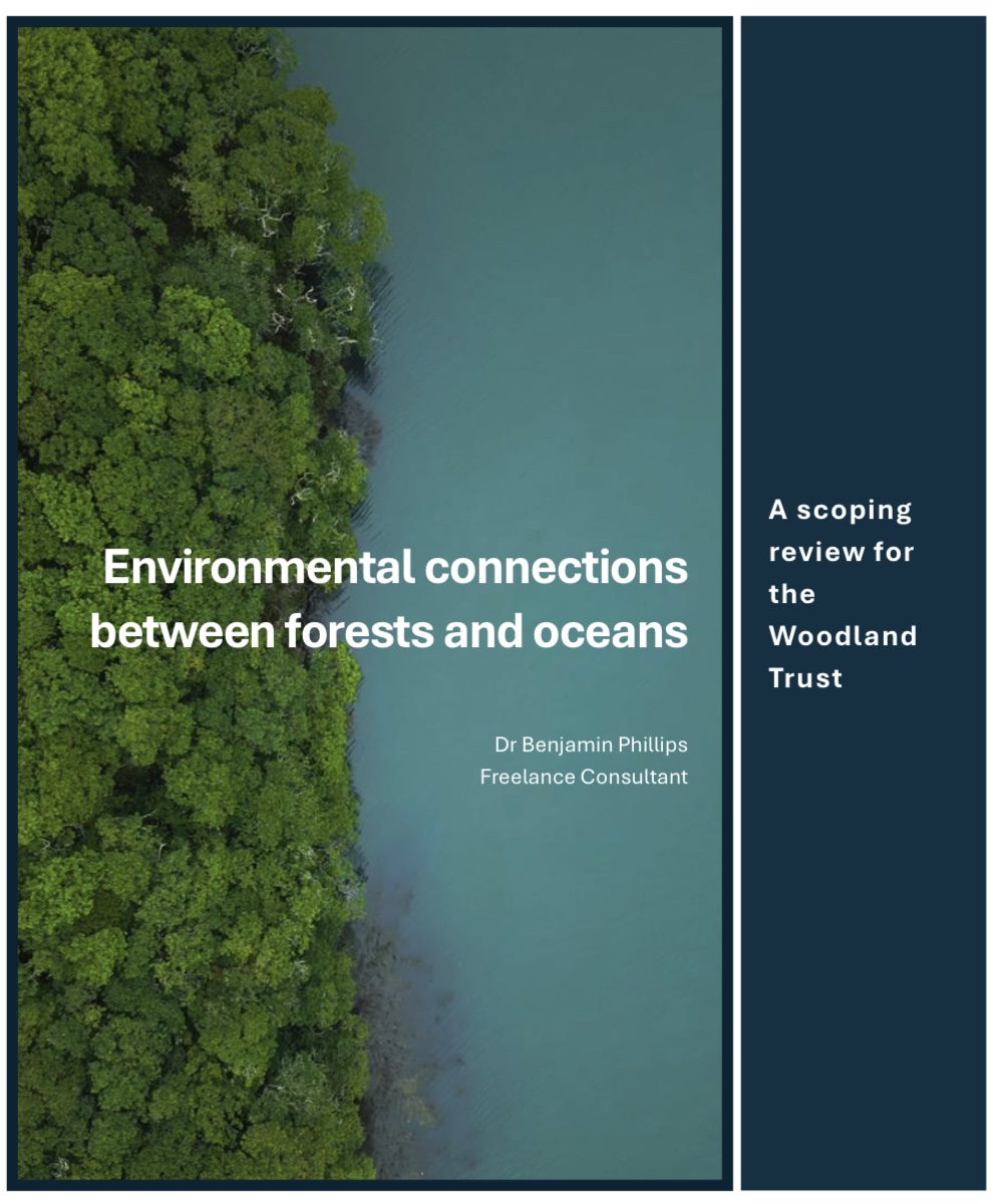 No Trees No Seas Campaign - a Environment crowdfunding project in ...