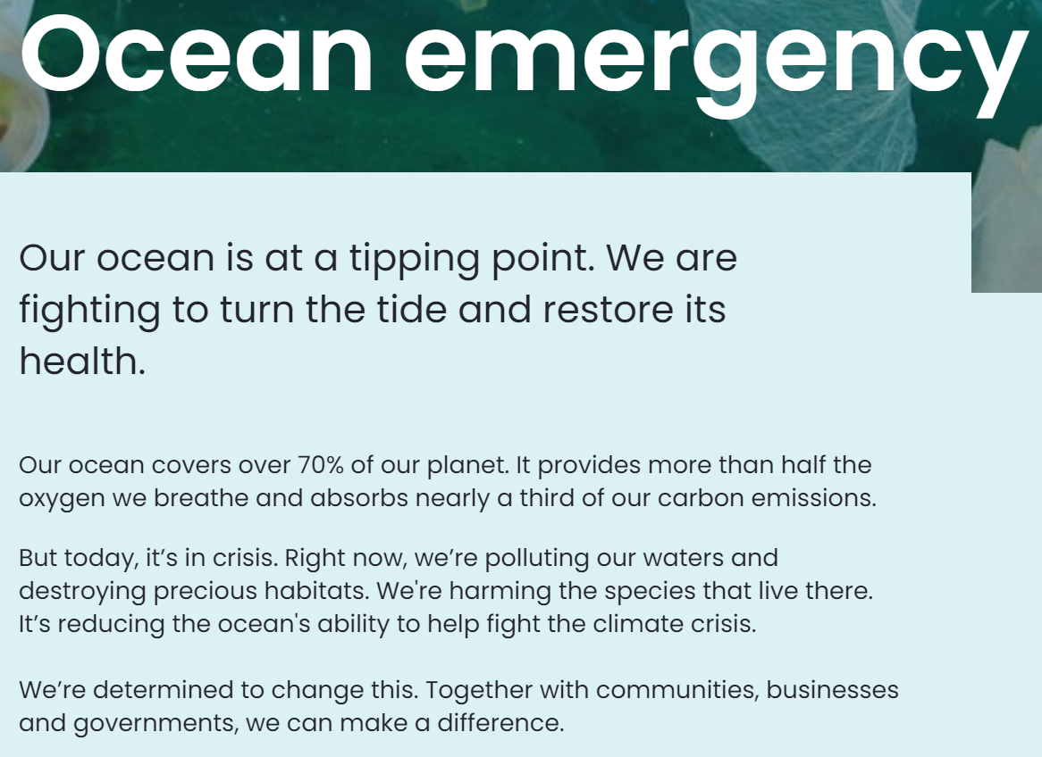 The Marine Conservation Society Fundraiser! - a Charities crowdfunding