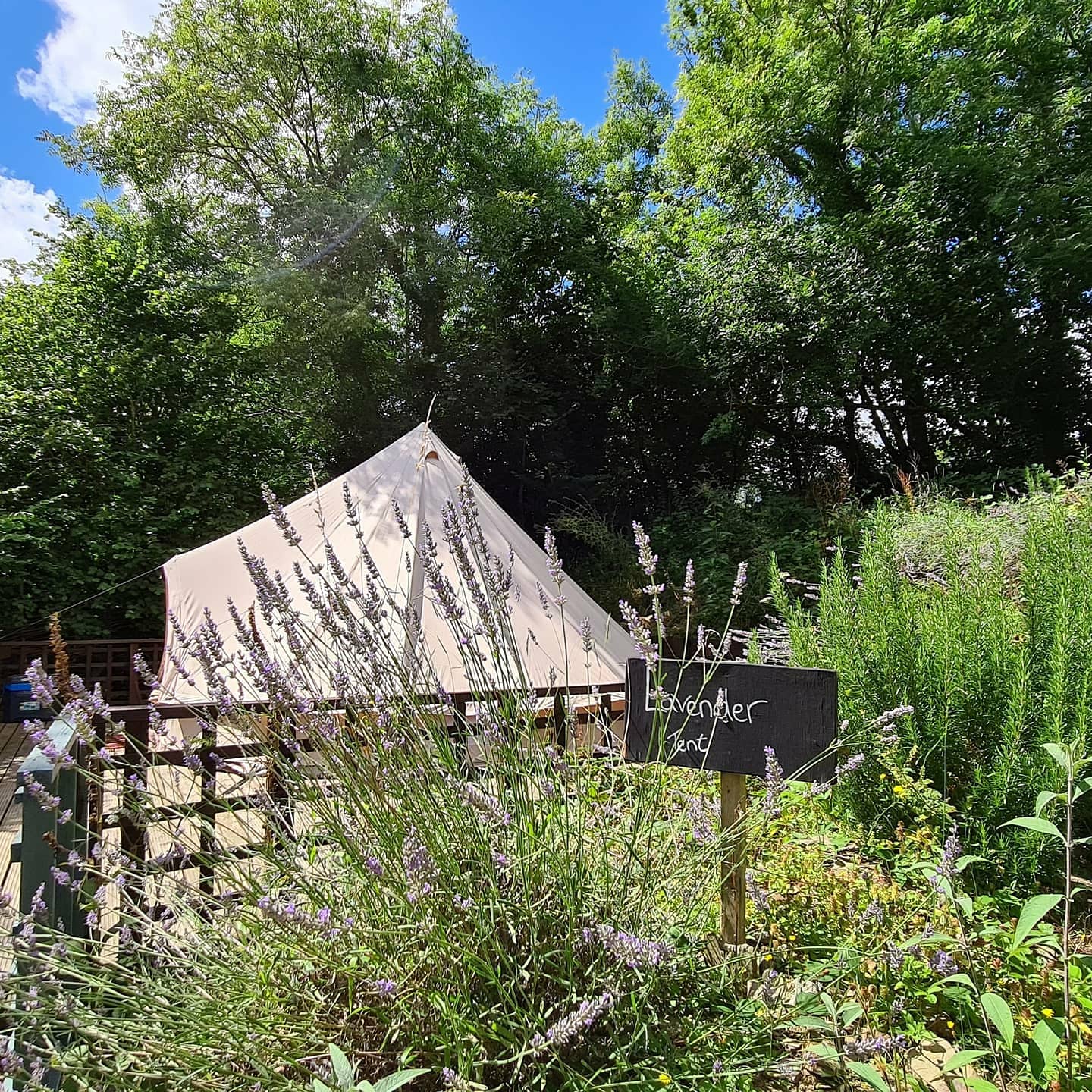 Copper Pot Campsite Winter Stargazing and Camping. a Environment