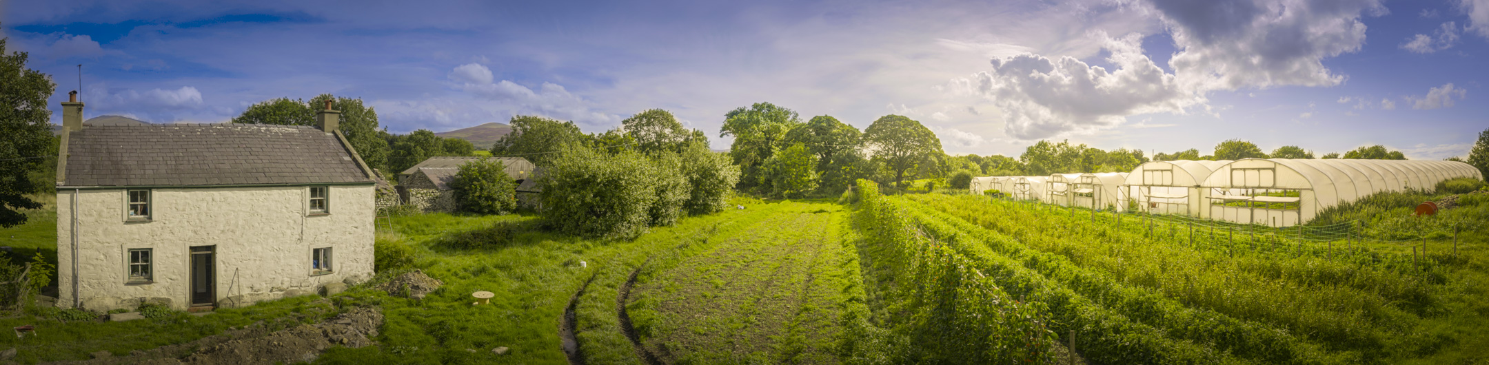 1687874078_dsc2210-pano.jpg