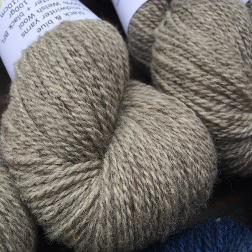 Help us spin our Single Flock Welsh Wool yarn! a Business