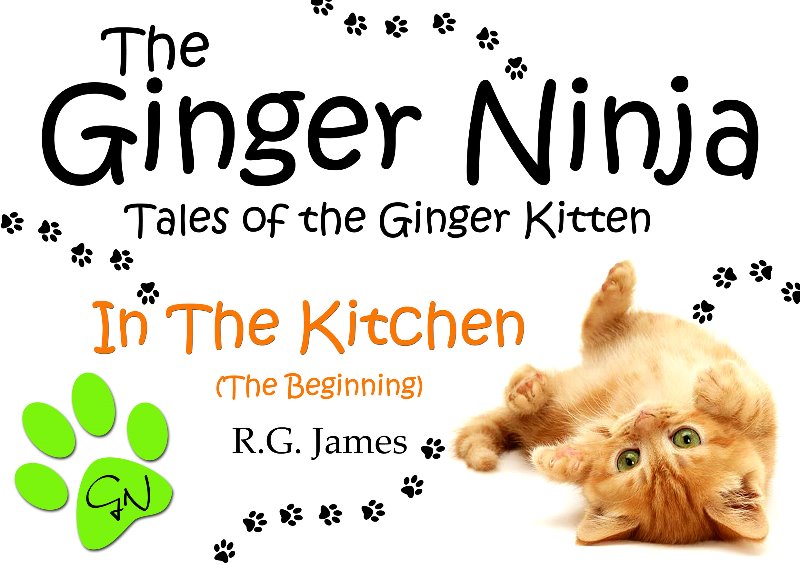 The Ginger Ninja Tales of a Ginger Kitten a crowdfunding project in