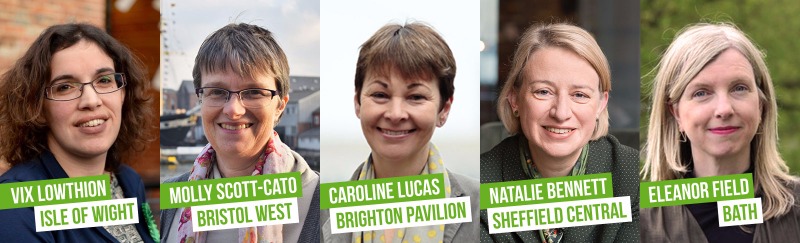 Green Party General Election Fighting Fund - a Politics crowdfunding ...