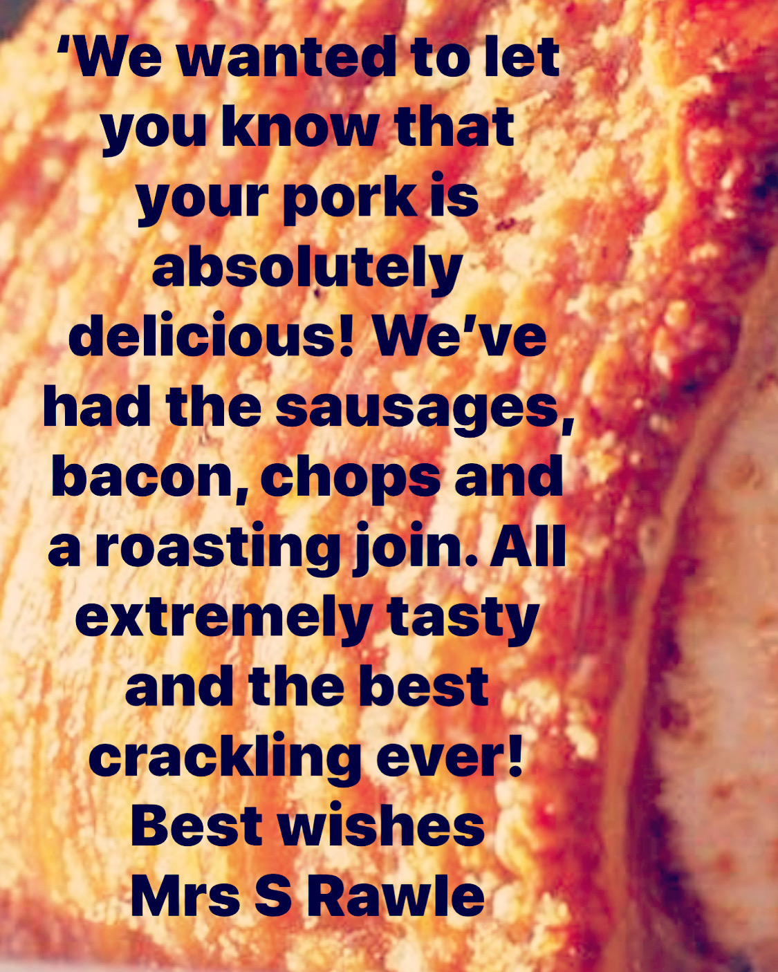 Please help “Save My Bacon”. a Business crowdfunding project in