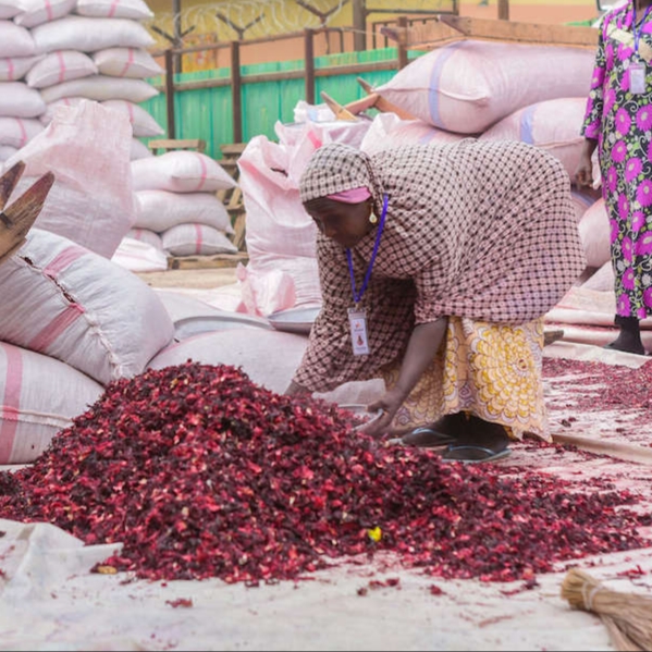 Carisips: An exotic drinking experience - a Business crowdfunding