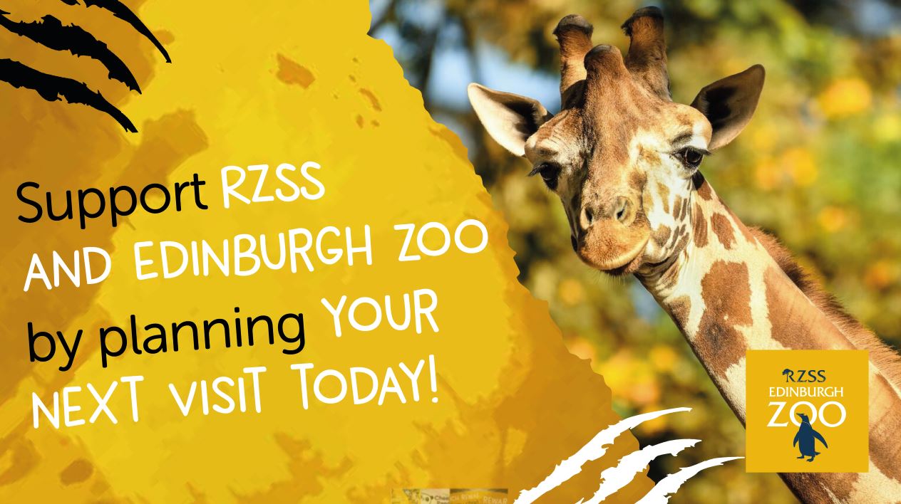 Support Edinburgh Zoo by planning your next visit! a Charities