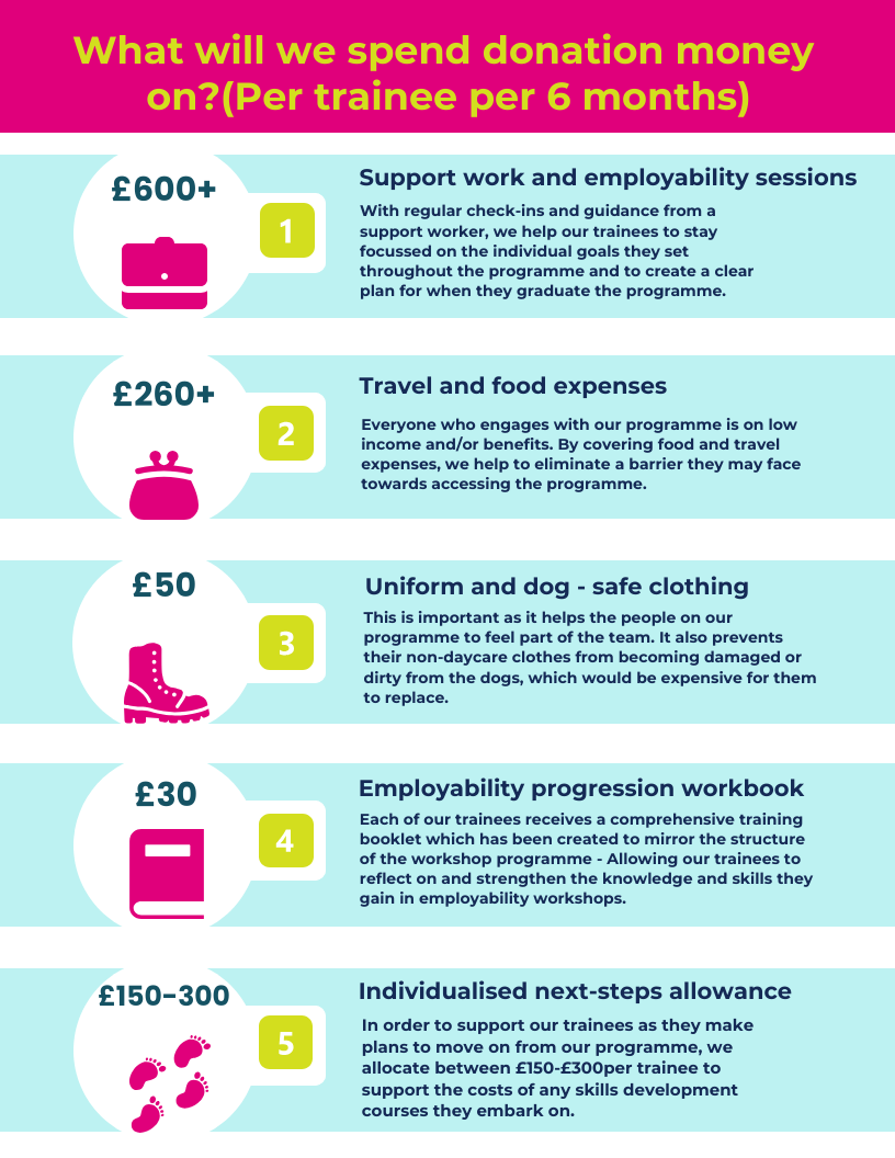 Paws & Pause - Changing lives with dog daycare - a Community ...