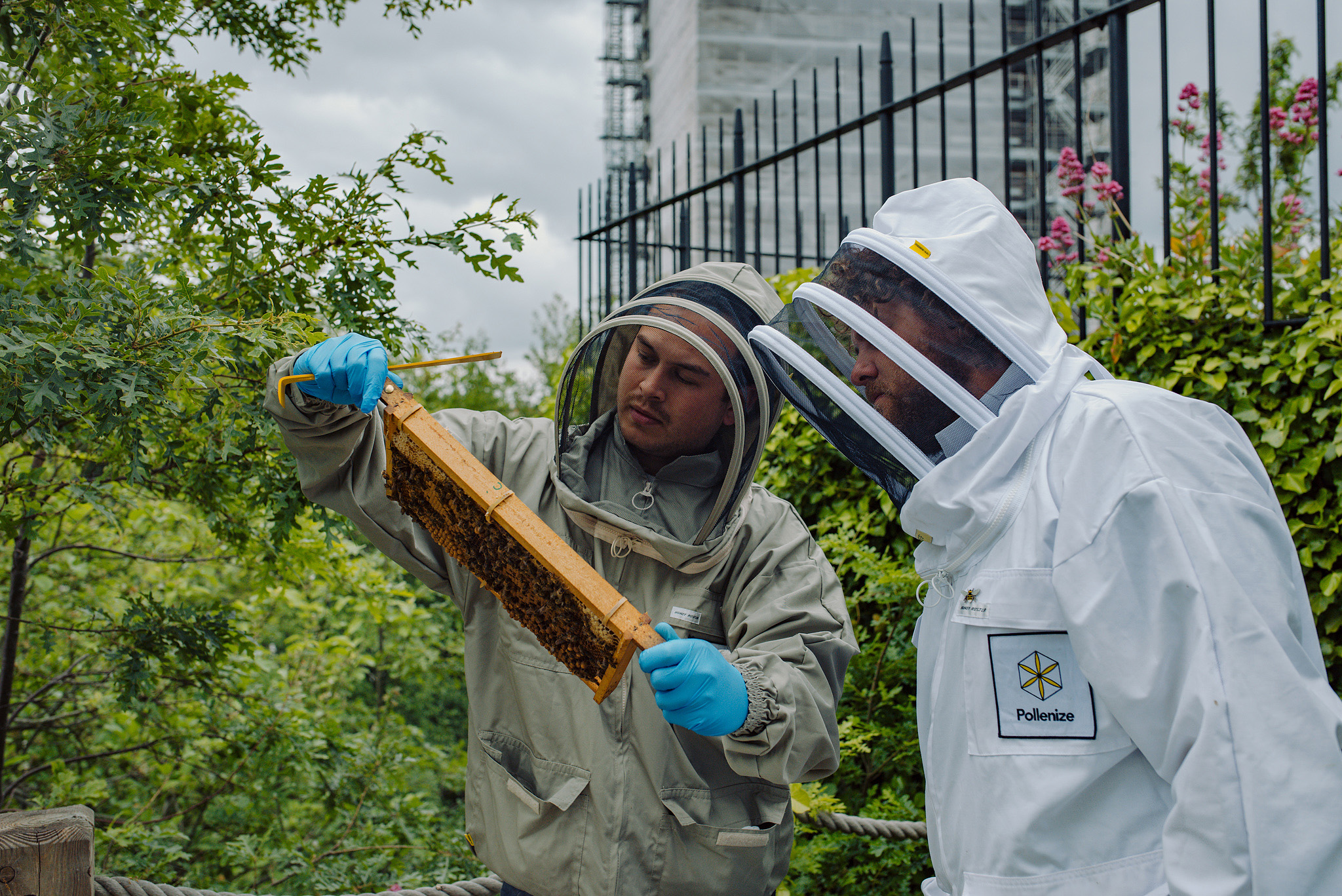 Project Pollenize Urban Pollinator Conservation a Community