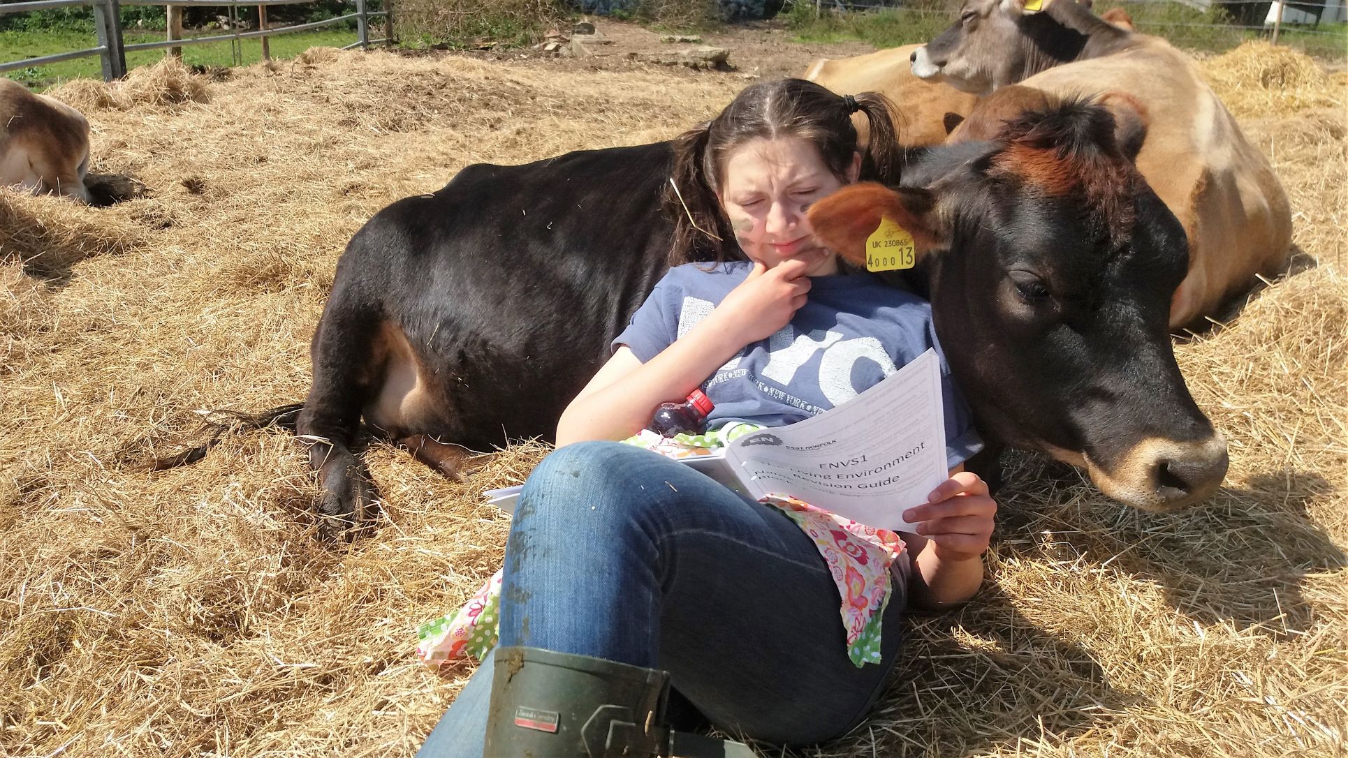 Support THE CALF AT FOOT DAIRY school a Social Enterprise