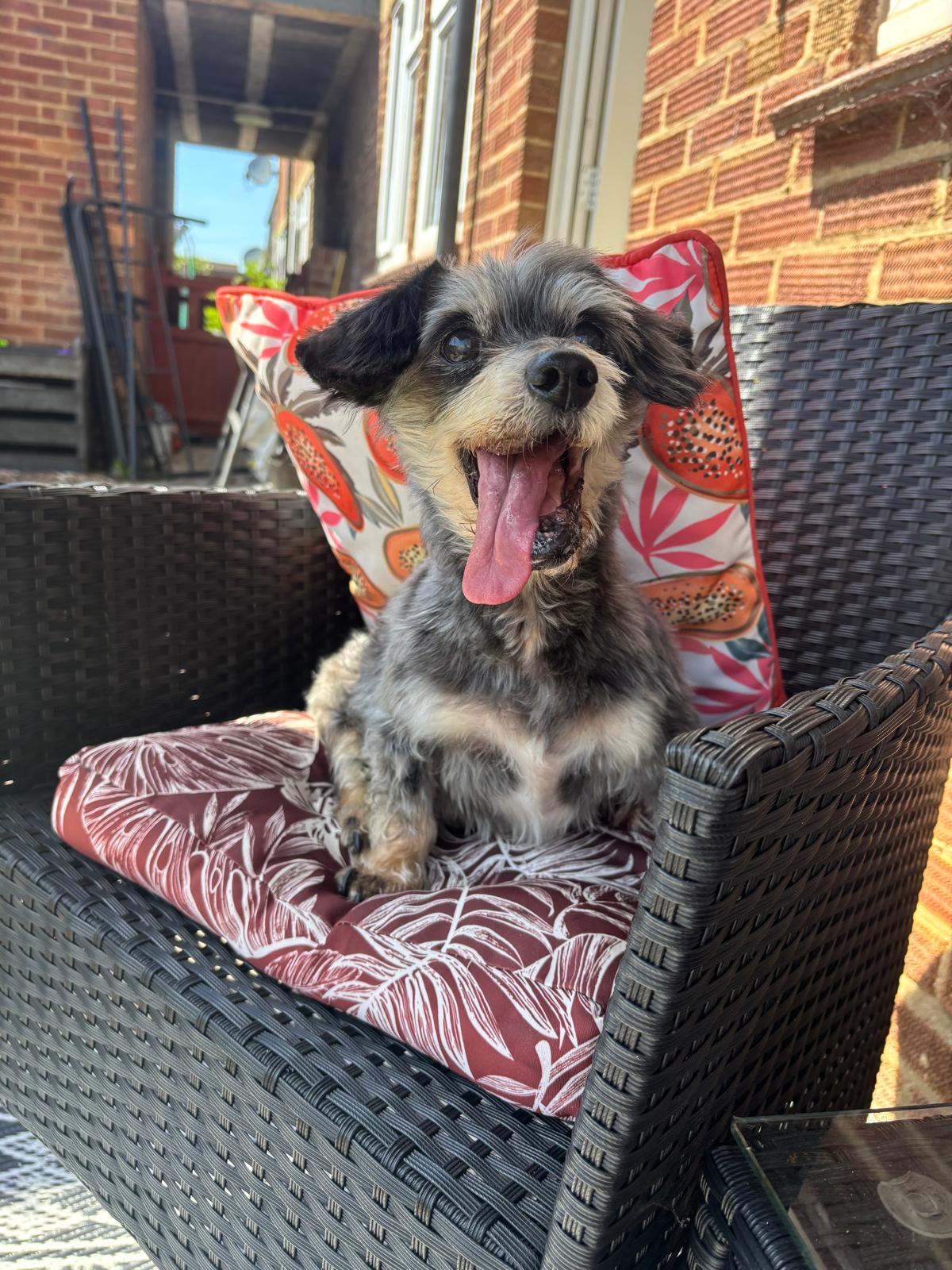 Help for Hamish - a Personal Causes crowdfunding project in Bedford by ...