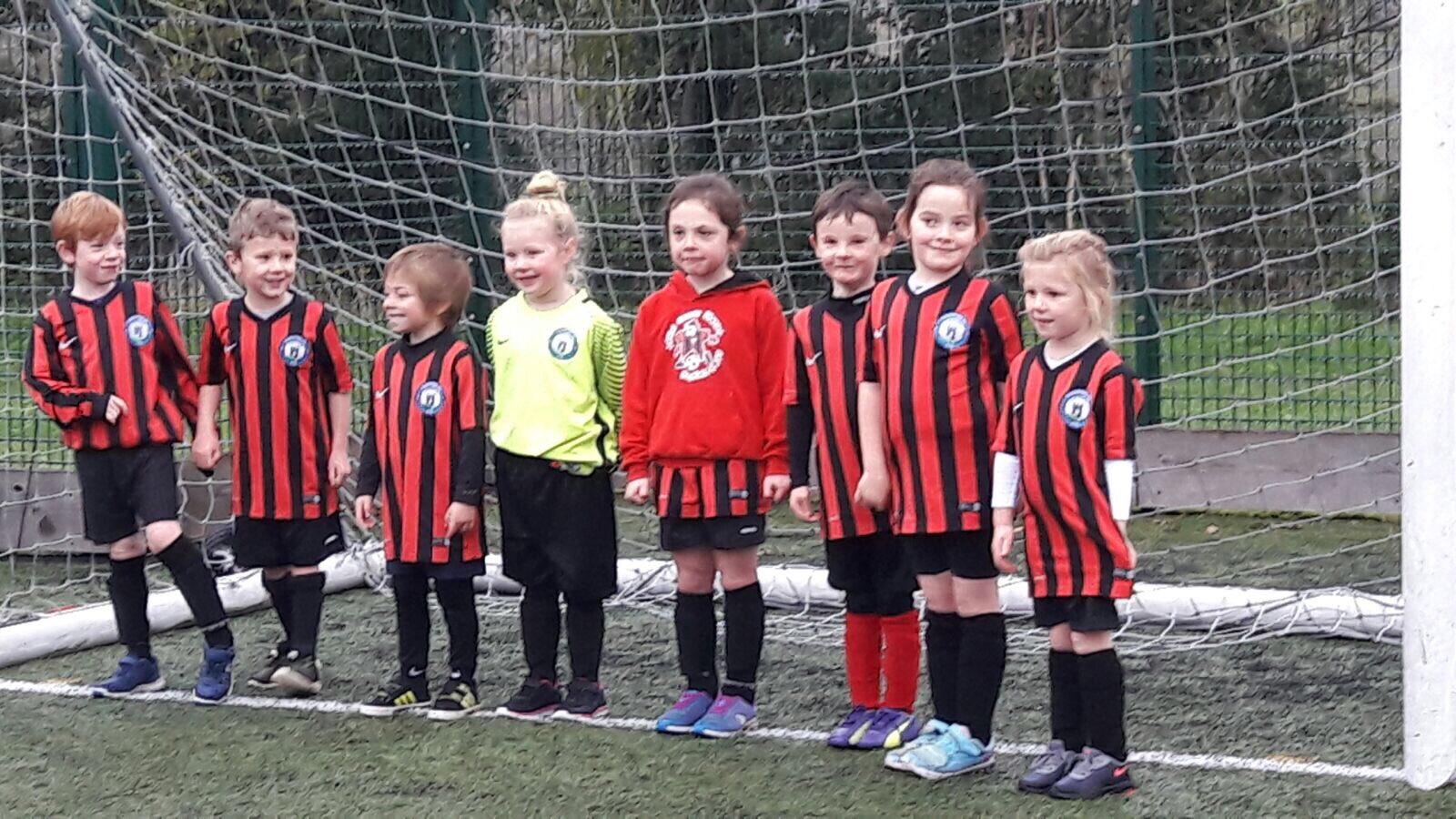 New Pitch Perimeter/Safety Fencing a Sports crowdfunding project in