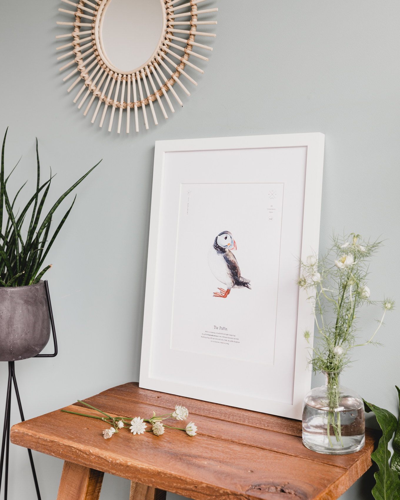 Puffin Prints To Help Save Scottish Seabird Centre a Charities