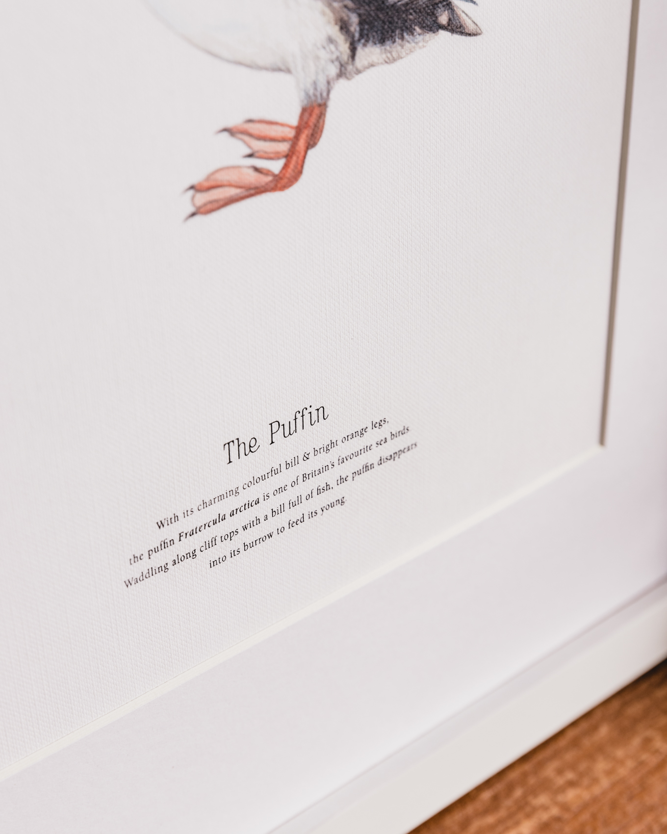 Puffin Prints To Help Save Scottish Seabird Centre a Charities