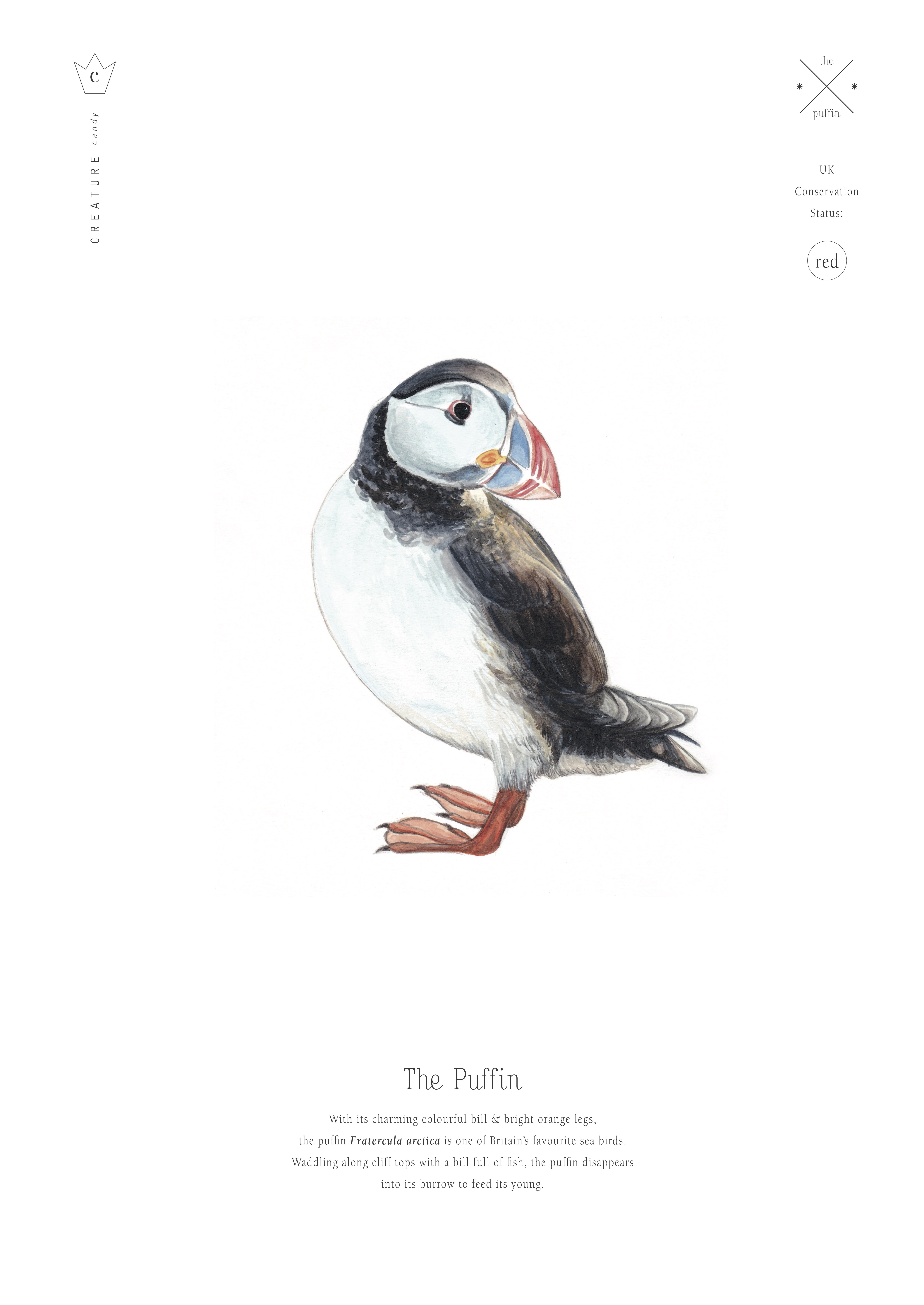 Puffin Prints To Help Save Scottish Seabird Centre a Charities