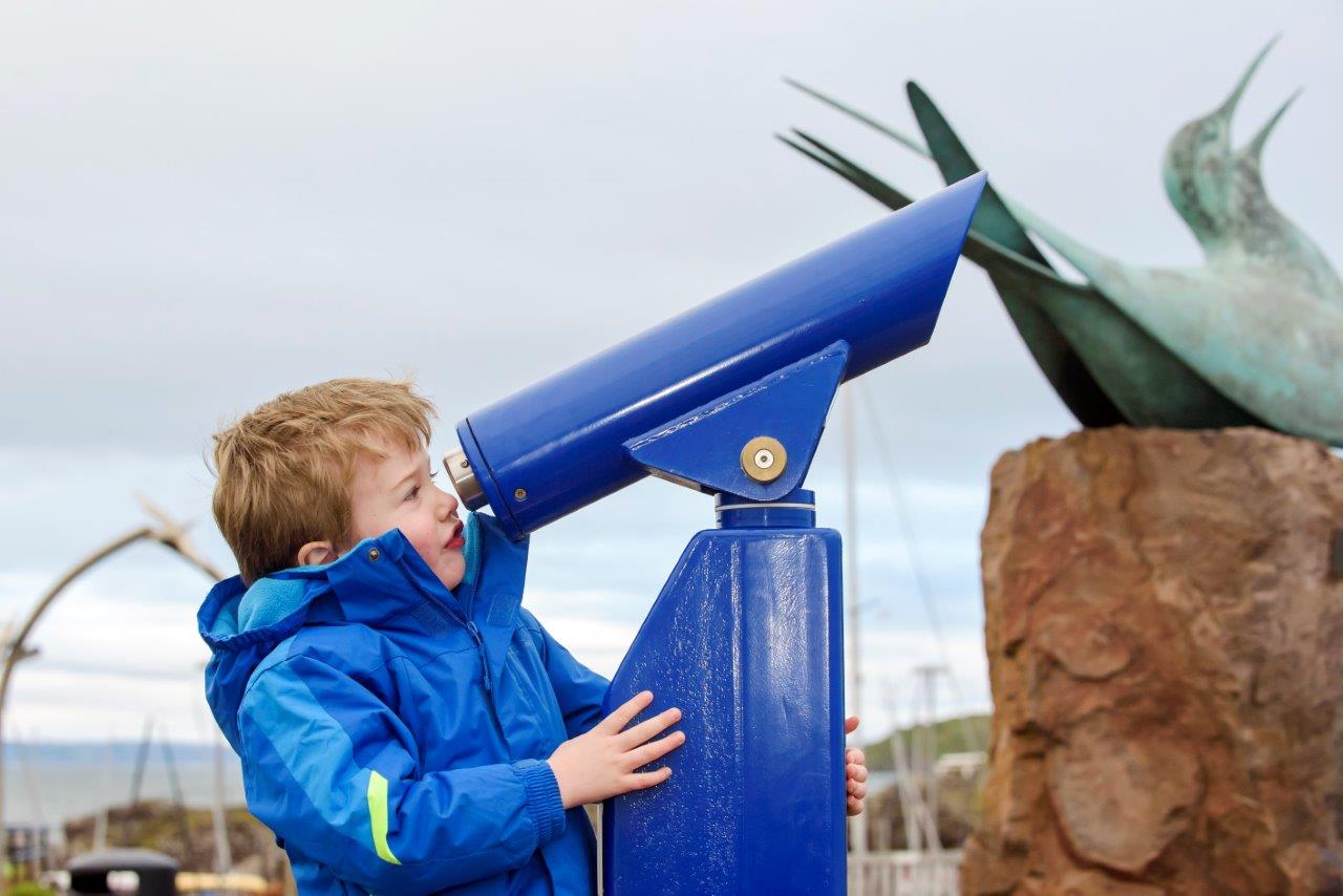 Puffin Prints To Help Save Scottish Seabird Centre a Charities
