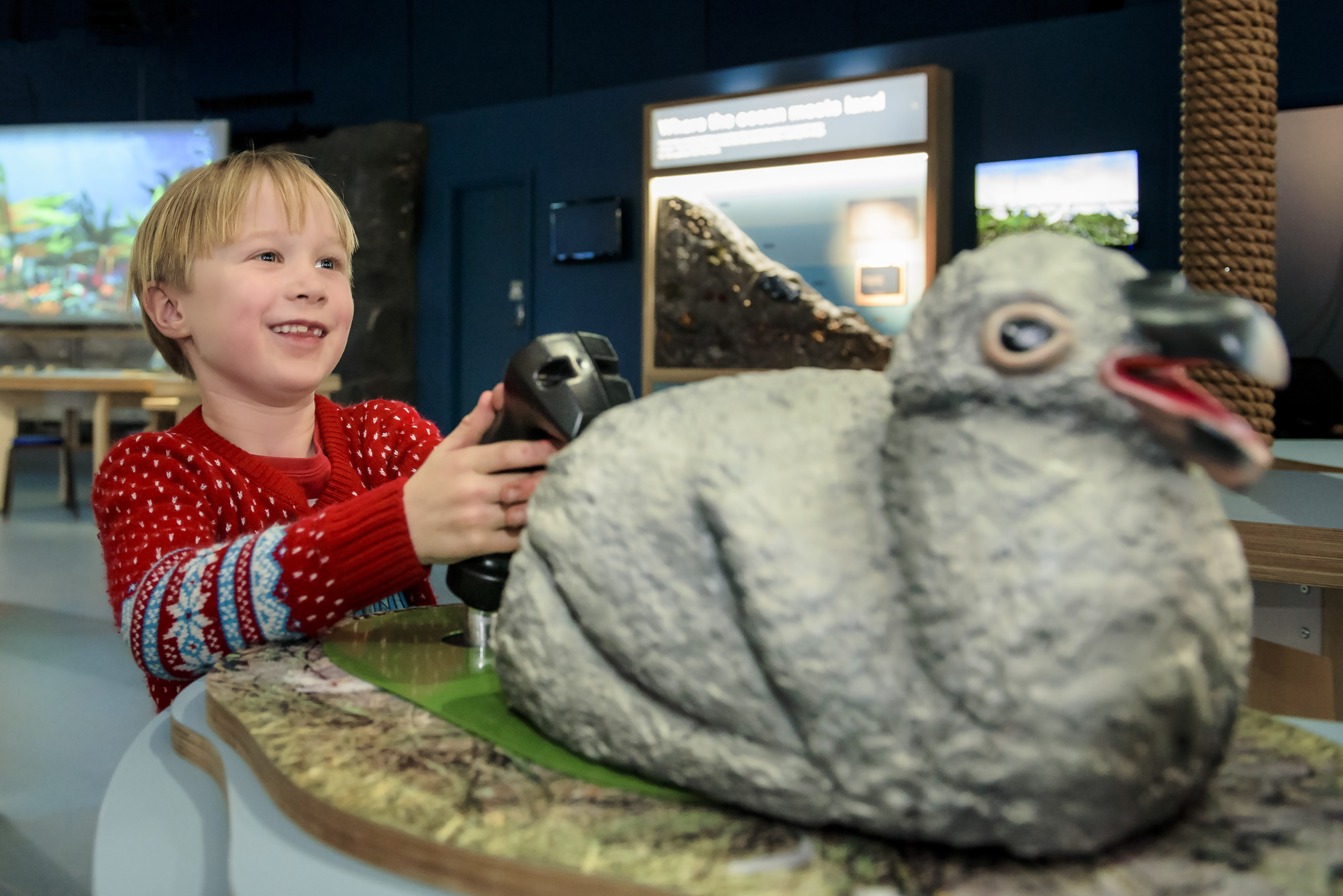 Puffin Prints To Help Save Scottish Seabird Centre a Charities