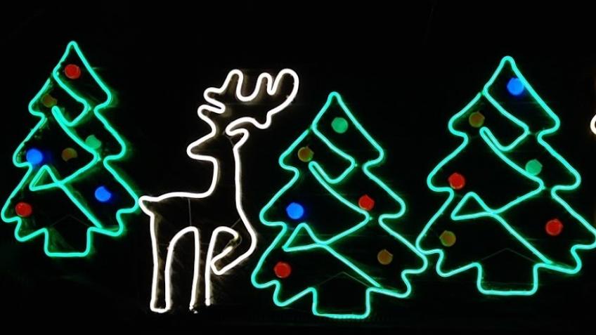 Catteshall Lane Charity Christmas Light Display