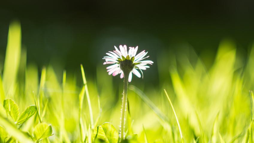 Guided mindfulness meditation